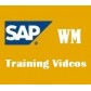 SAP WM TRAINING VIDEOS 80 $